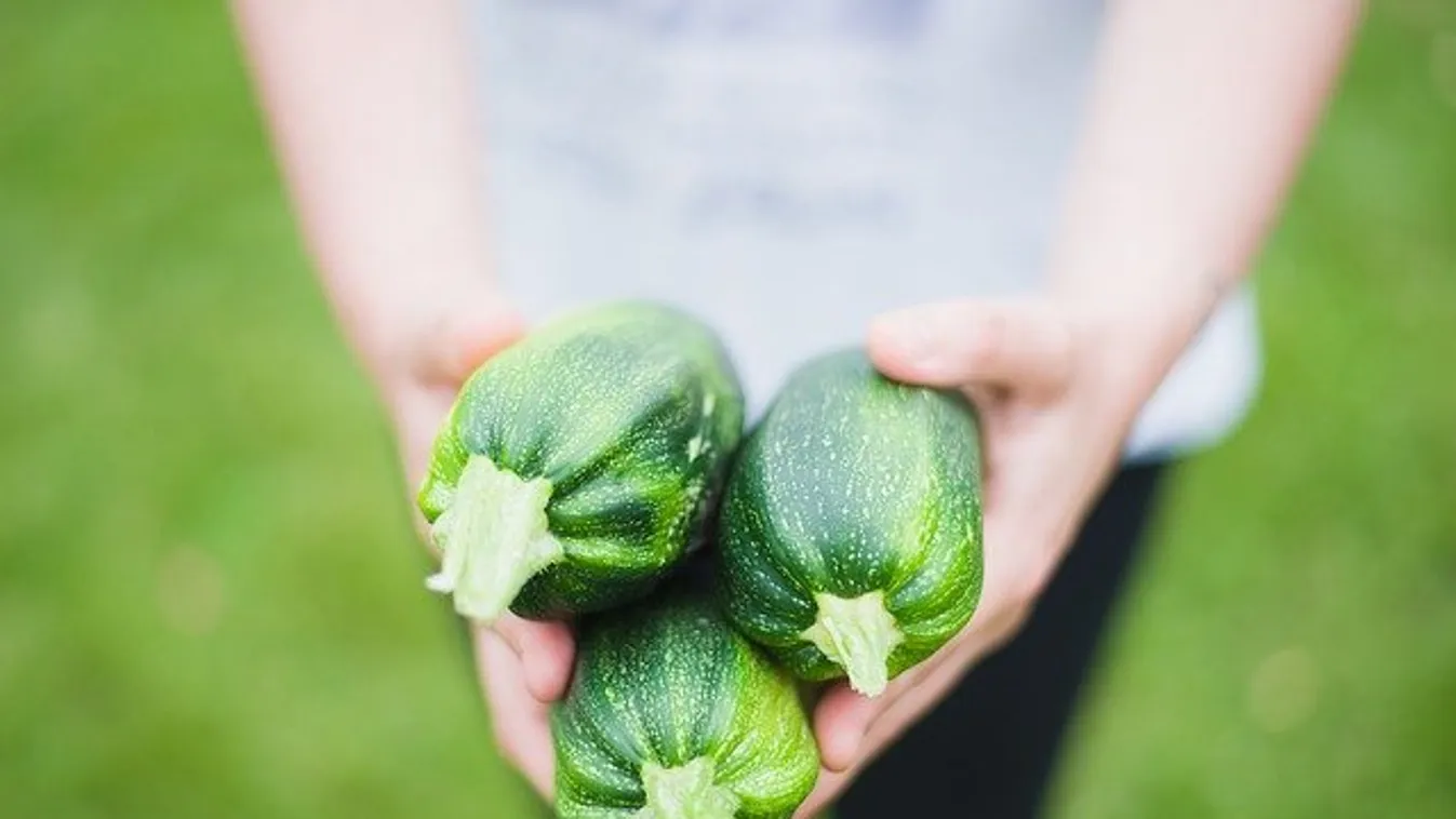 Ha így ülteted a cukkinit, gyönyörű lesz a termés
