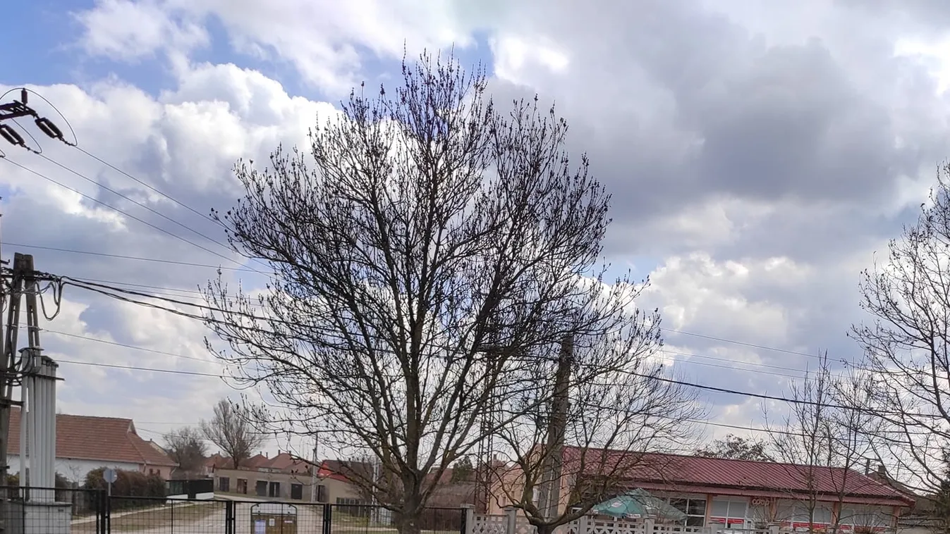 "Nem ölelsz már soha és nem mondod, anya szeretlek"