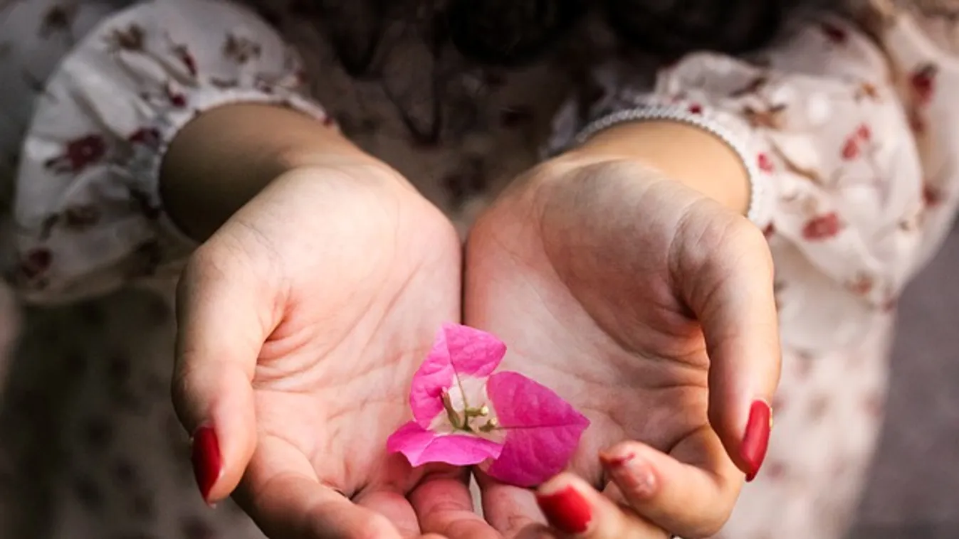 Mesés gazdagságról árulkodik ez a vonal a tenyeredben