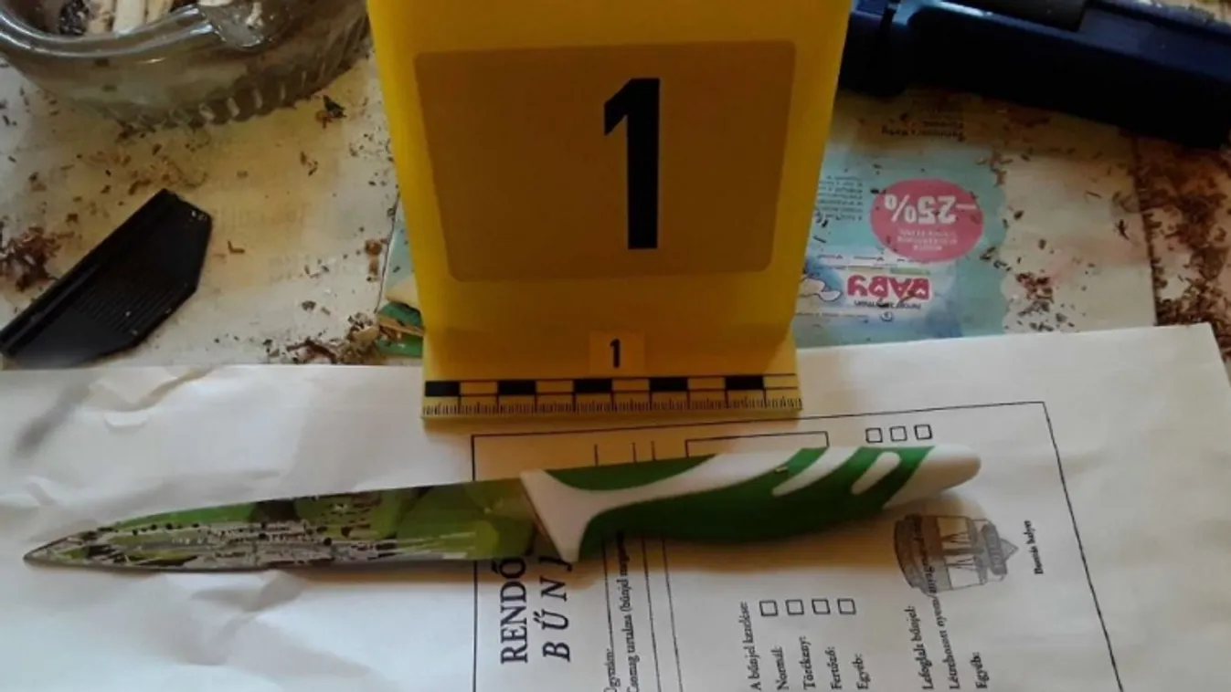 Hátba szúrta élettársát a nő