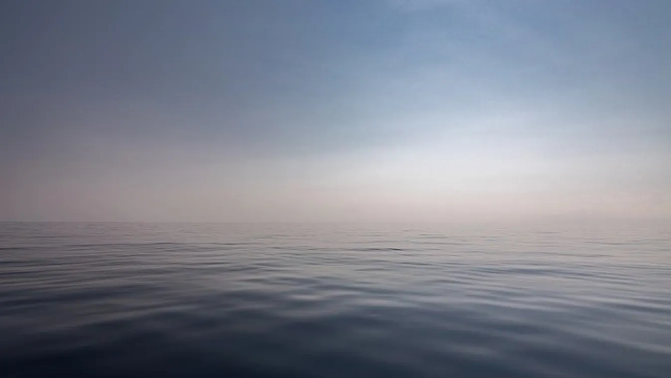 Döbbenetes fotók: Szörnyeket sodort partra a víz Amerikában