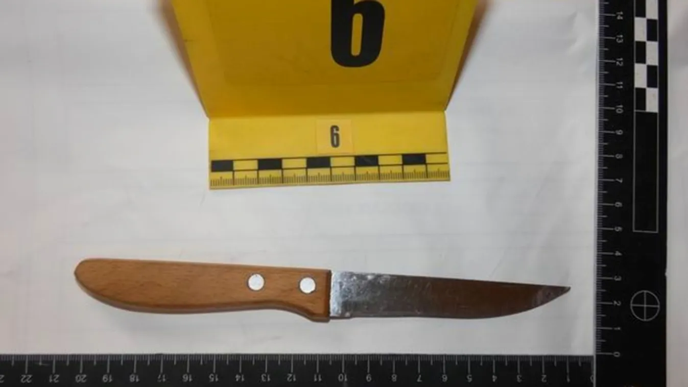 A fiát késelte meg az 58 éves pásztói férfi