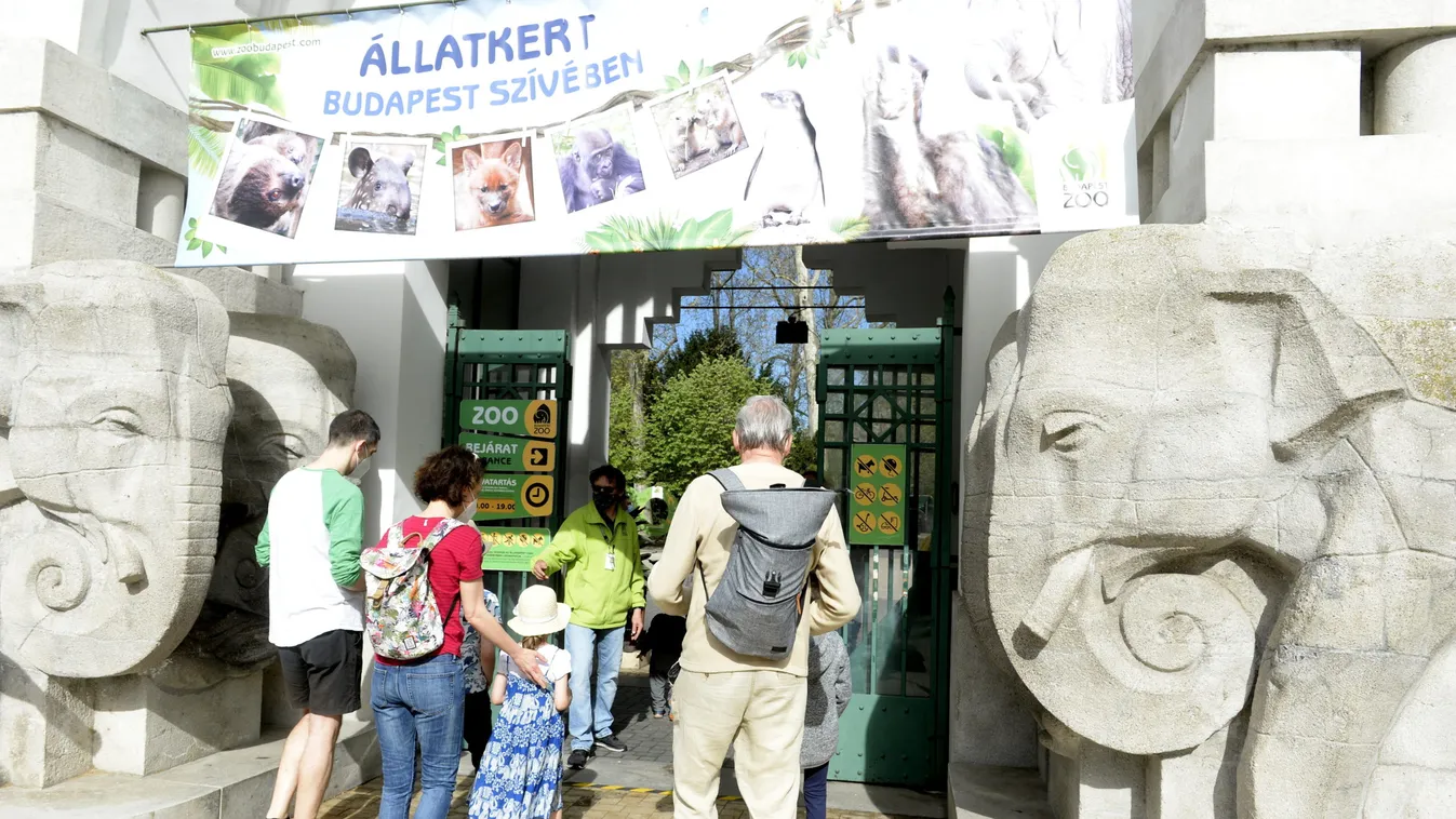 Kitört a káosz az Állatkertnél: a rendőröket is riasztották a balhézókhoz – Videó