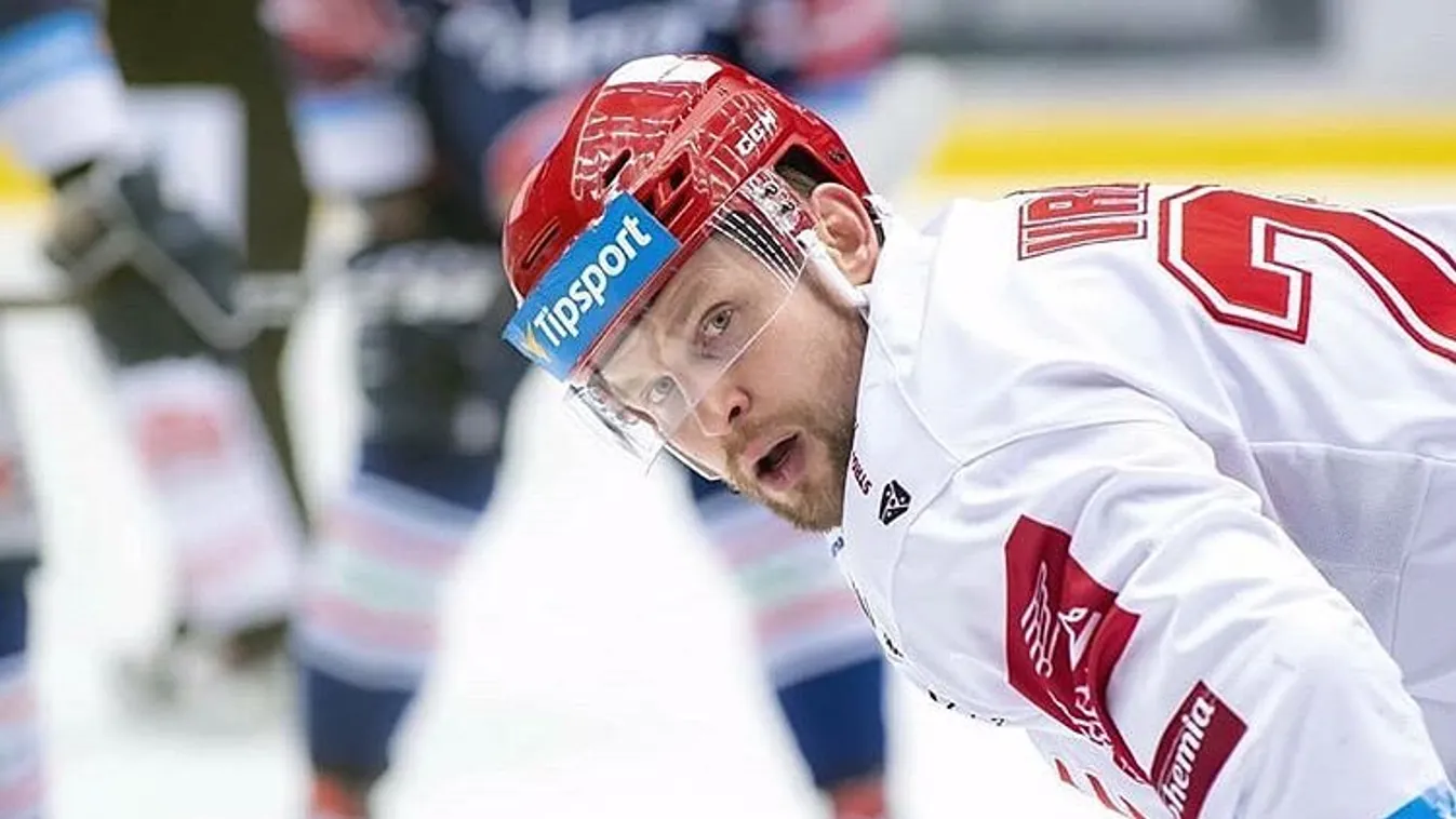 Kölyökkutyák mentése közben halt szörnyet a sztársportoló felesége