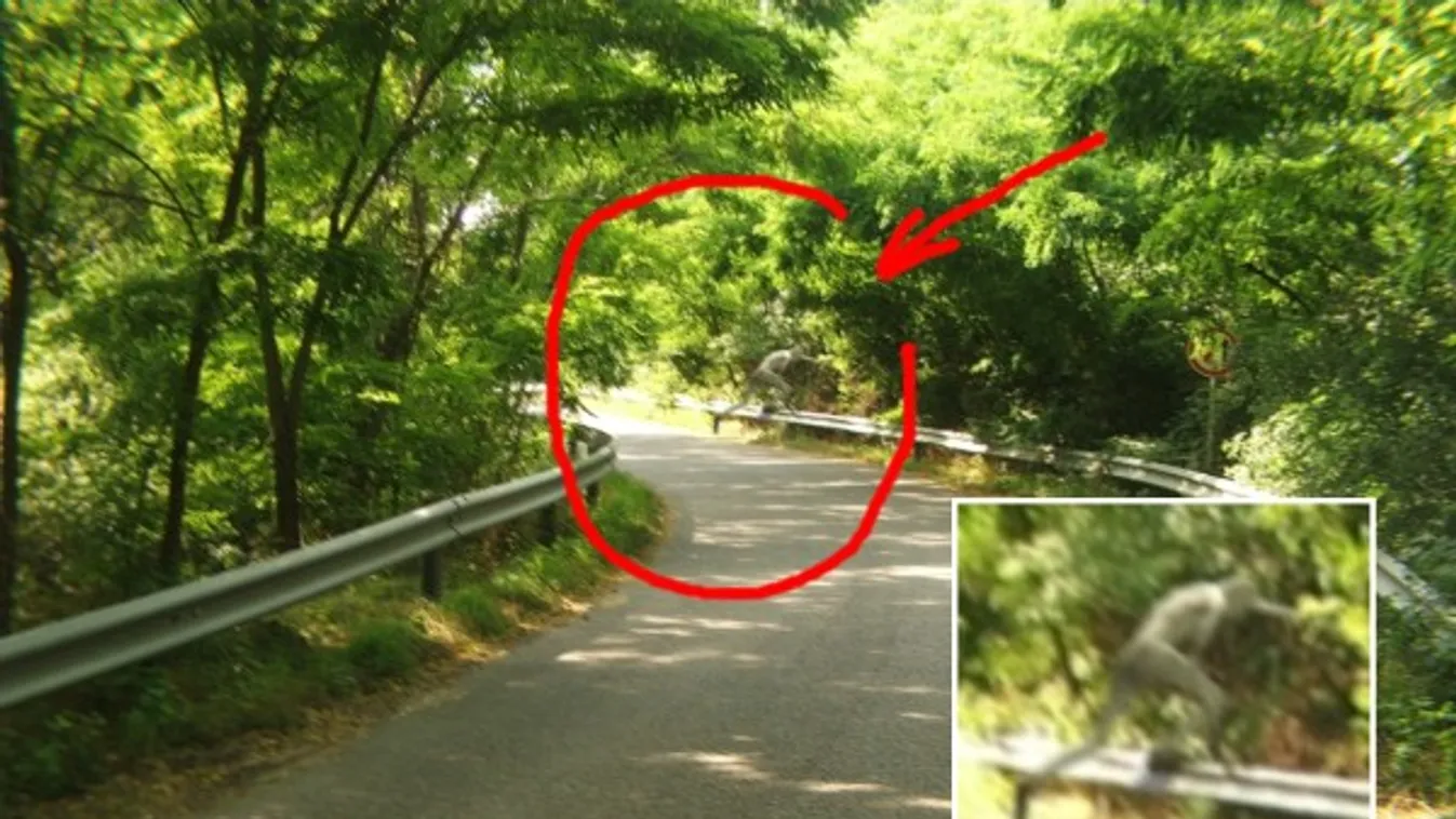 A Mátrában mászkált a magyar jeti