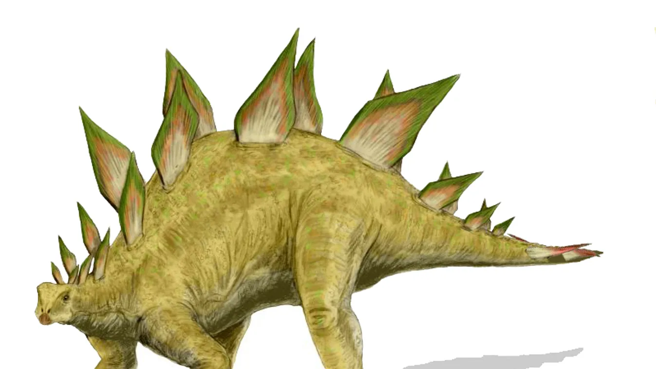 Bizarr: elképesztő helyről került elő egy férfi holtteste