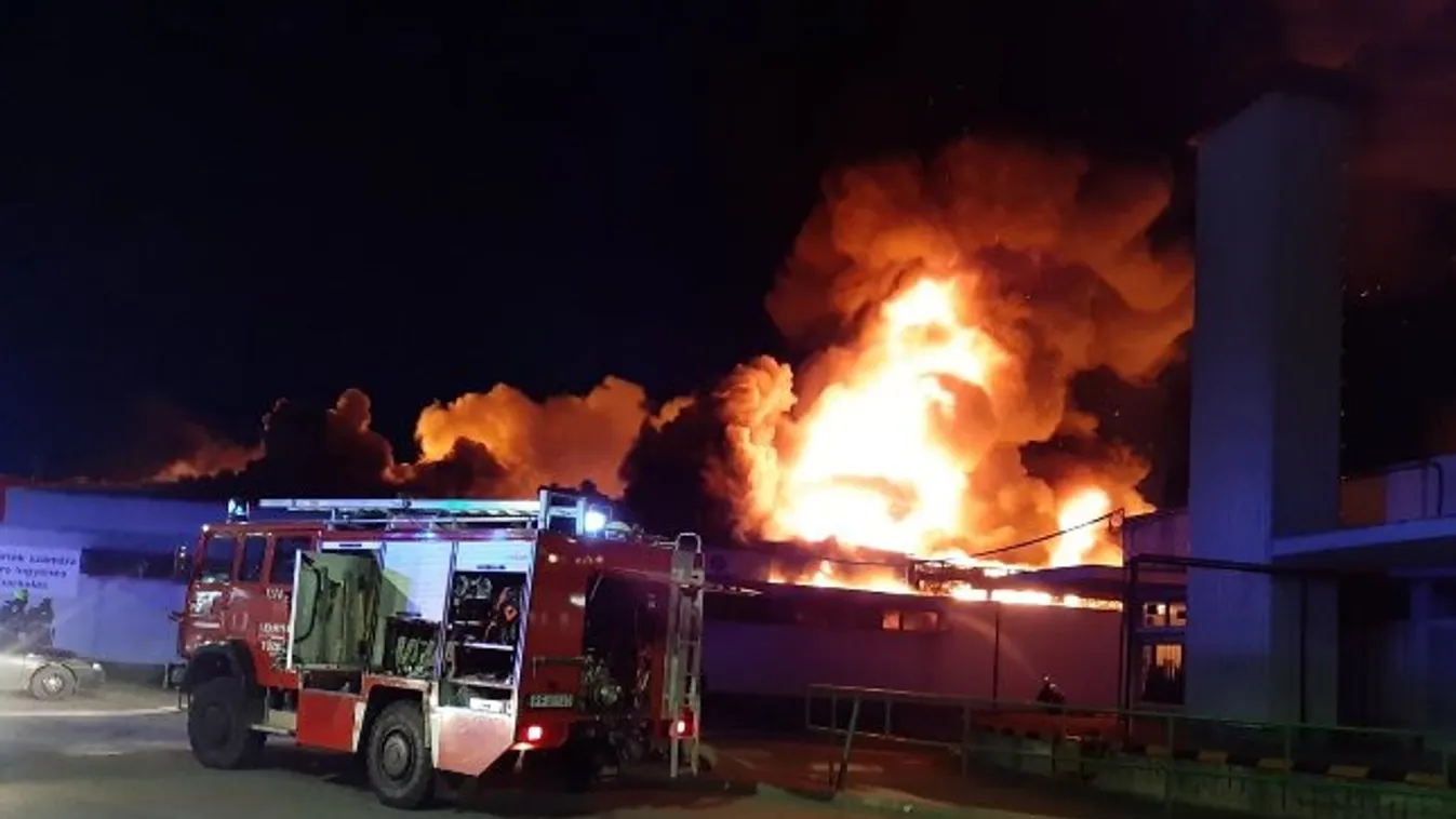 Borzasztó dögszag Szentendrén, ez lehet az oka