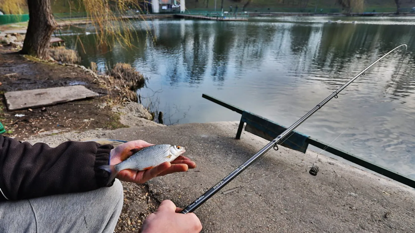A horgászok is örülhetnek: így működik az éjszakai horgászat