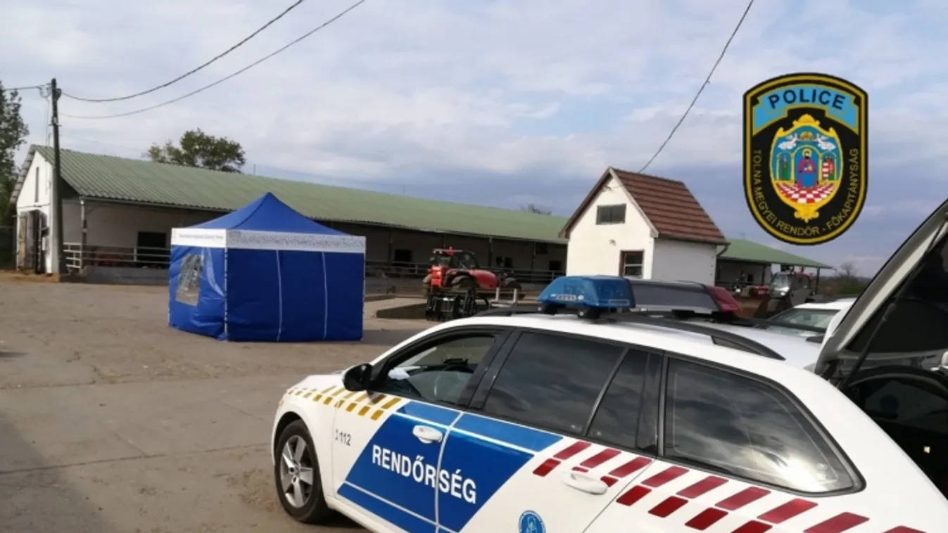 Szörnyű baleset: rakodógép gázolt halálra egy 52 éves férfit Regölyben