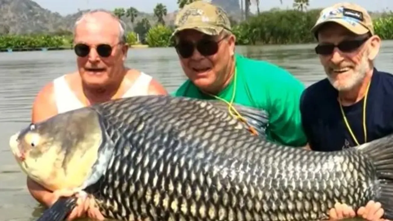 „Ez nagyon beteg" - sokkot kaptak a kommentelők a hátborzongató megemlékezés miatt - videó