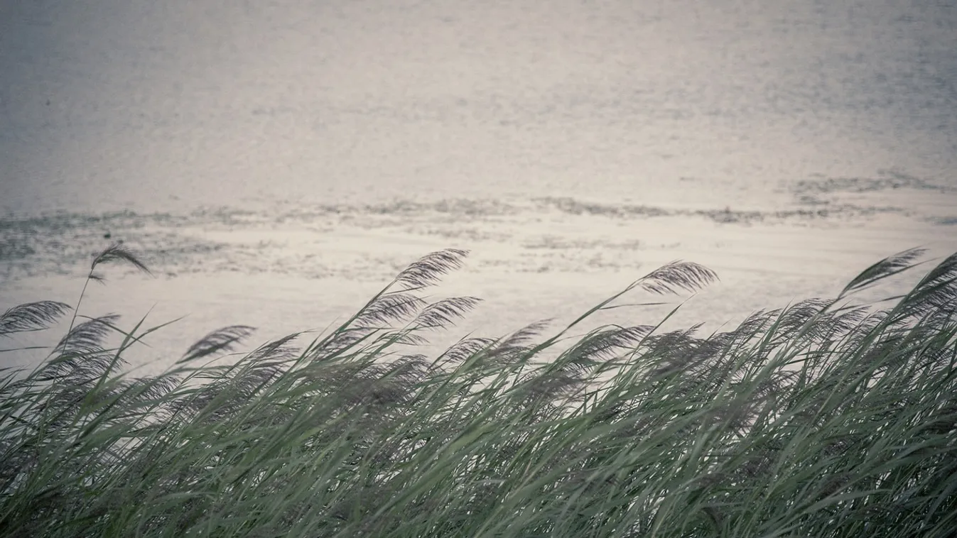 Viharos széllel és záporokkal érkezik a hidegfront, ilyen időnk lesz a hétvégén
