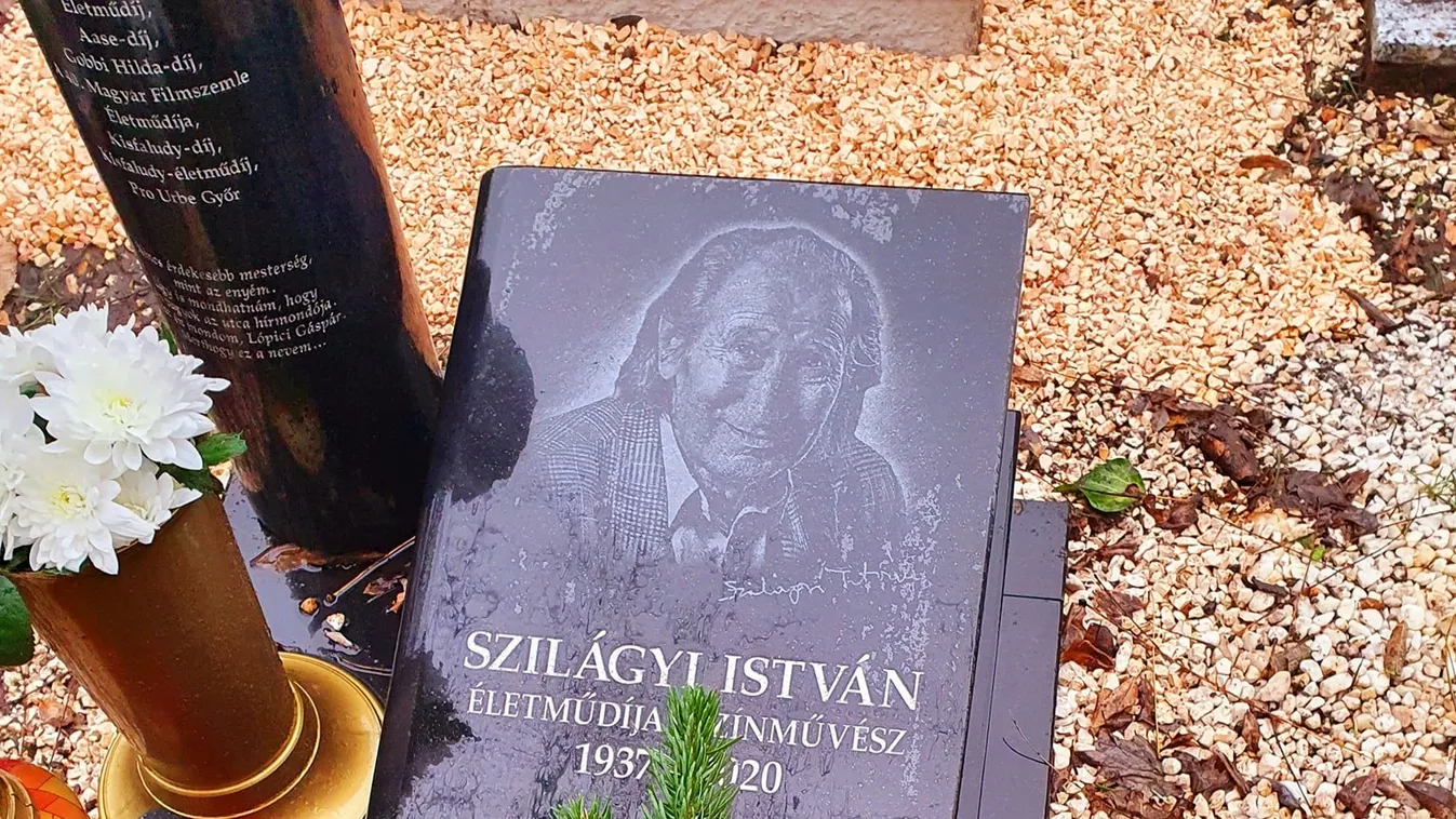 Egy éve gyilkolta meg fia a tragikus sorsú Szilágyi Istvánt, felidézzük az eseményeket