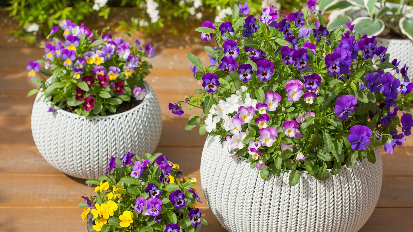 Nem tudod, mivel lepd meg: Íme néhány ajándékötlet Anyák napjára