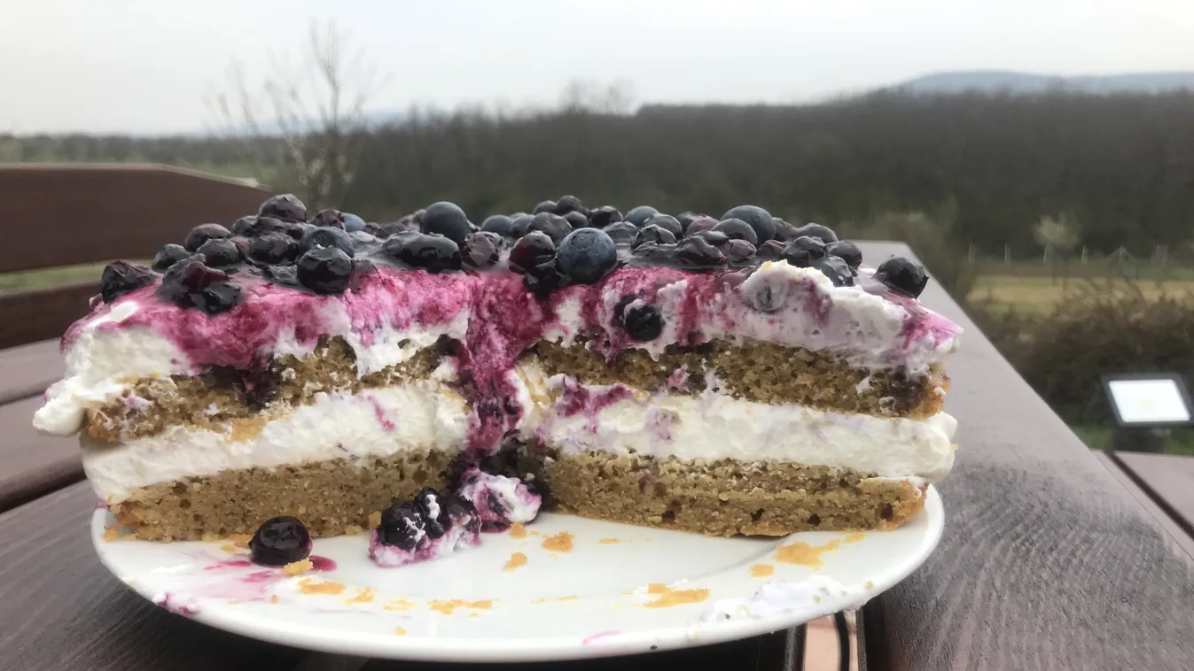 Imádni fogod: ilyen isteni áfonyatortát még biztosan nem ettél