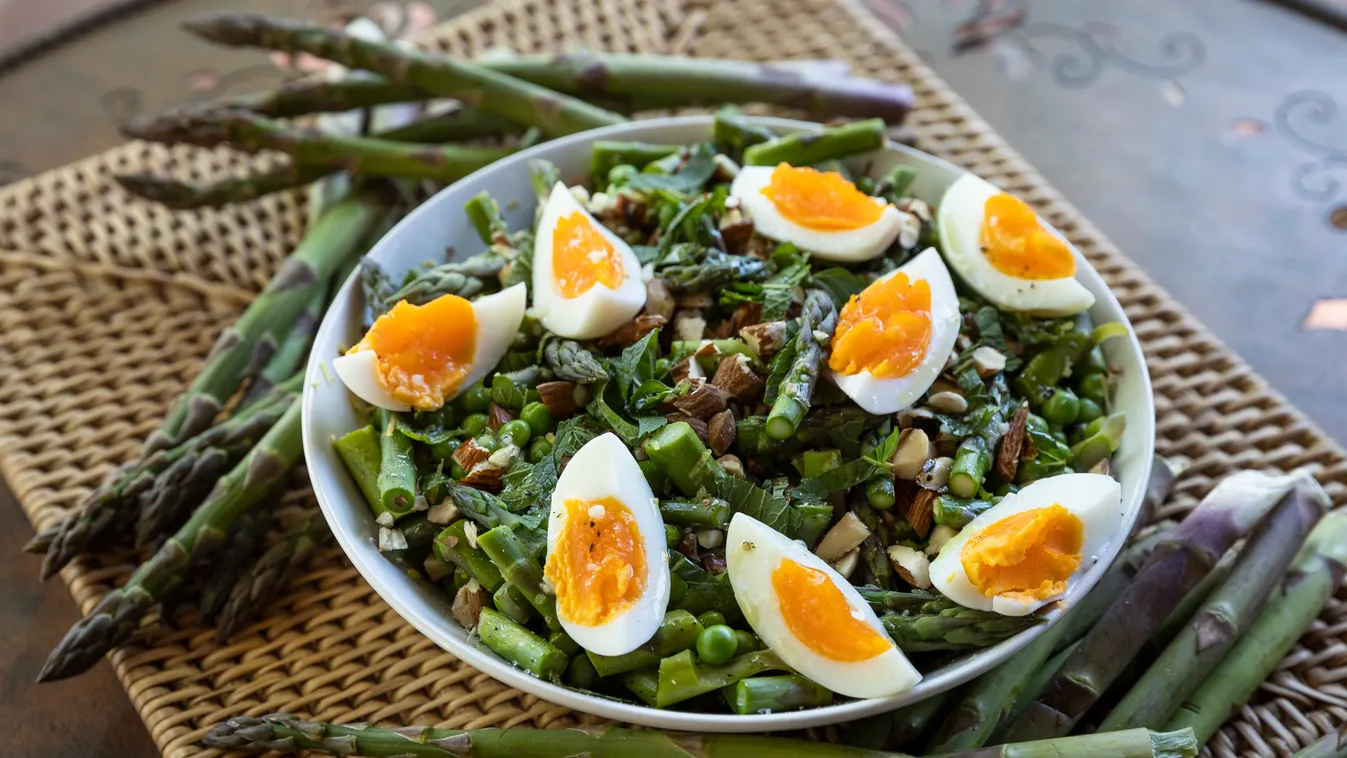 Spárgás kalandok az Európai Friss Csapattal 