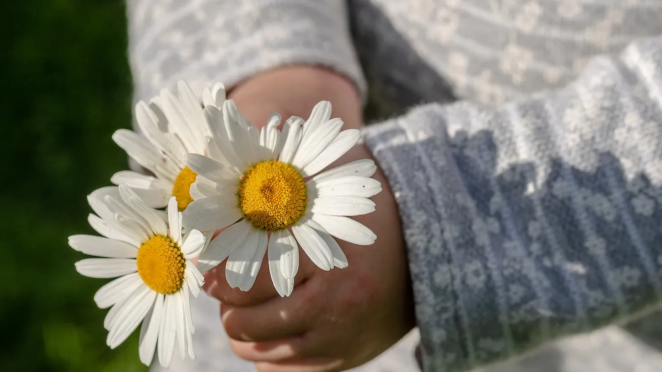 Ezzel a videóval köszöntjük az édesanyákat és nagymamákat!