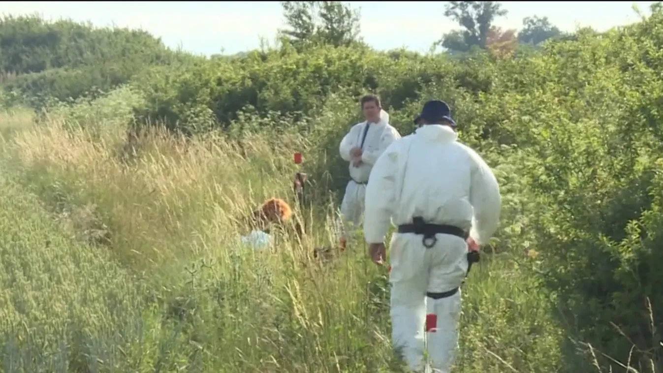 Faágakkal takarta le, és magára hagyta csecsemőjét egy anya Tarnamérán – Videó