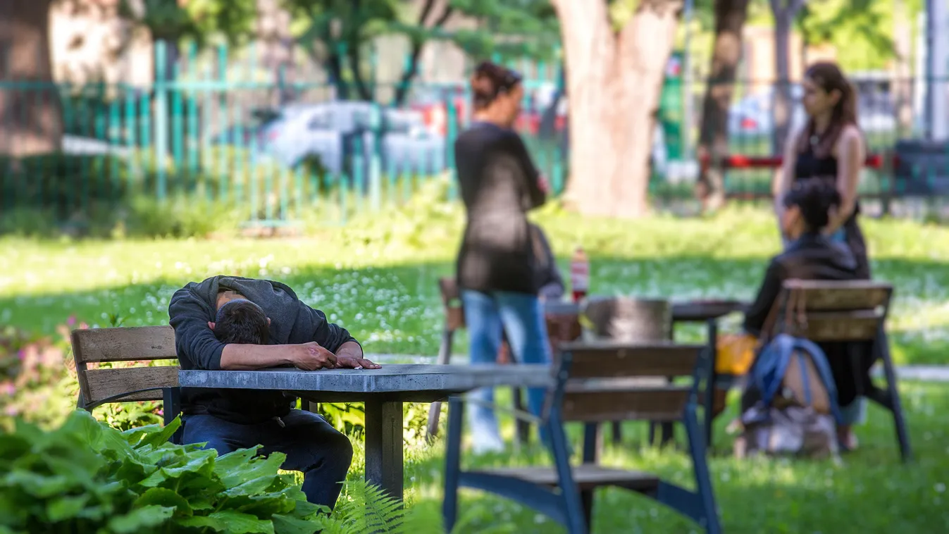Drogostanya, hajléktalantábor lett a VIII. kerületből