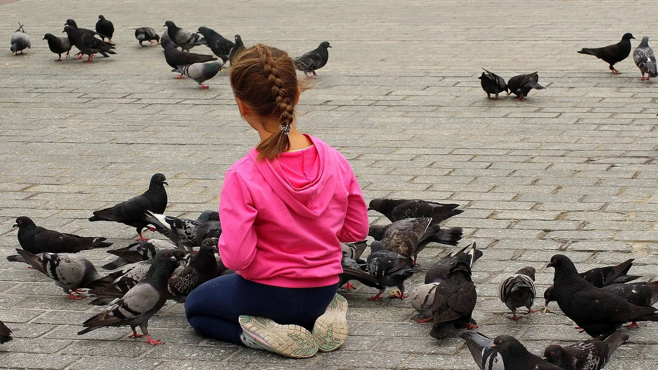 Mellbevágó: egy 13 éves kislányt akart megerőszakolni a pedofil taxisofőr