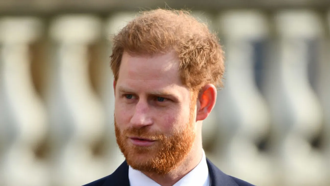 Az unokatestvéréhez költözik Harry