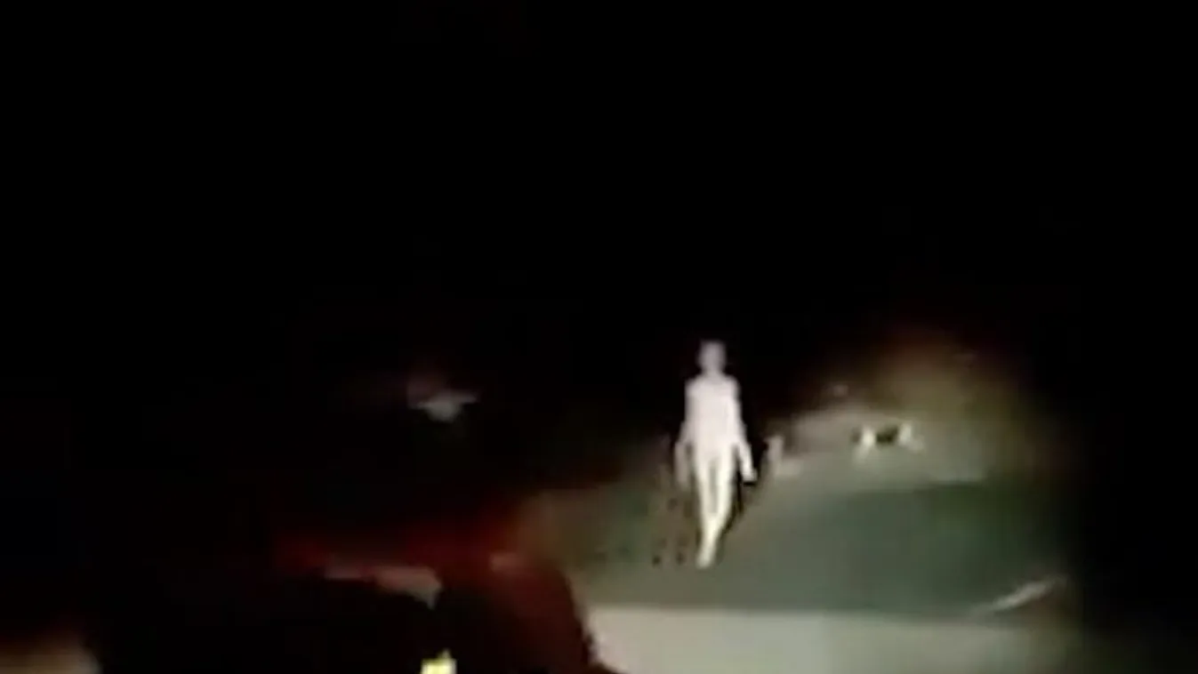 Olyan lény sétált át éjszaka a hídon, hogy a motoros ereiben menten meghűlt a vér