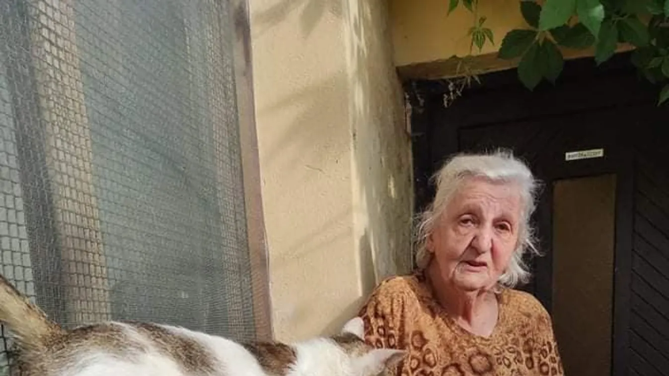 Sátánista állatkínzónak nézték a kedves idős hölgyet, ezt találták az otthonában