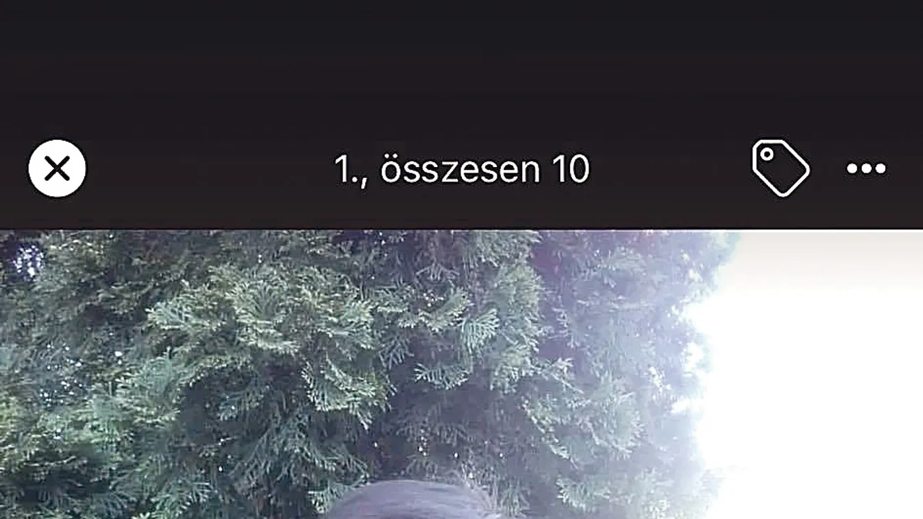 Megszólalt a biztonsági szakértő a terrorizmussal gyanúsított kecskeméti fiúról