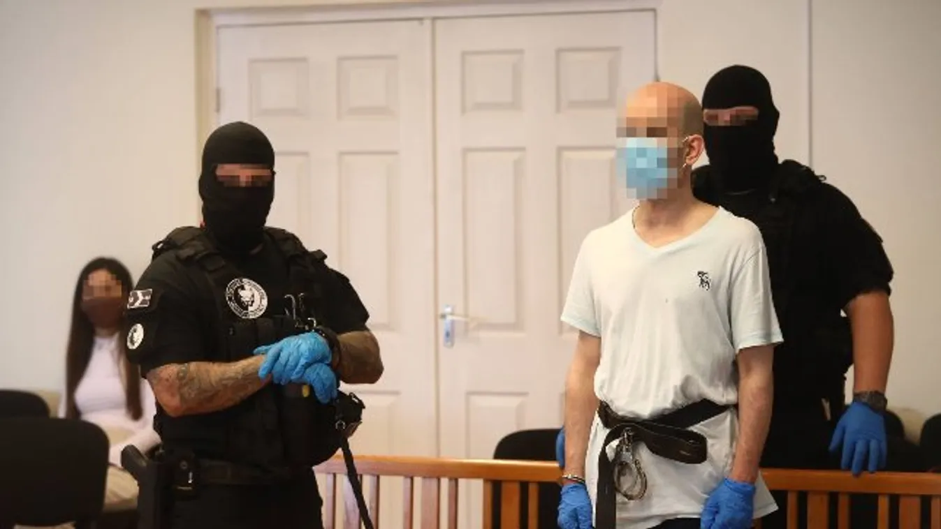 Megdöbbentő: ezeket mondta Szilágyi István gyilkossággal vádolt fia a bíróságon