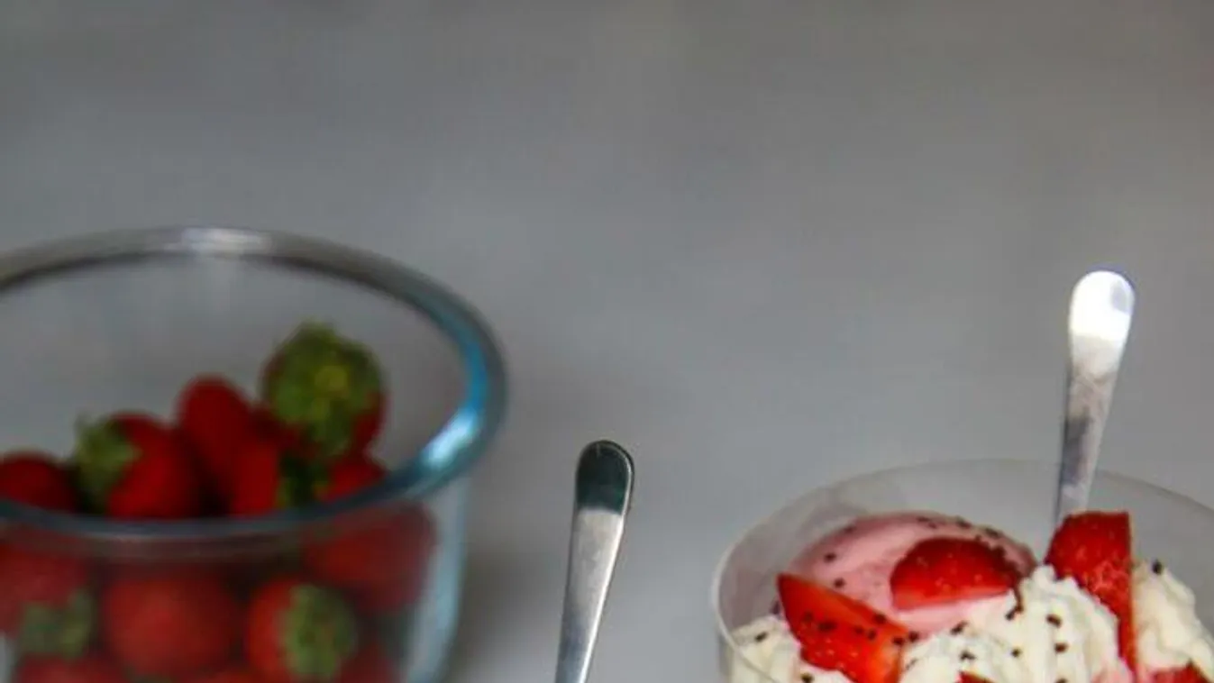 Fagyi kisokos: miből készül egy jó minőségű hűsítő finomság?