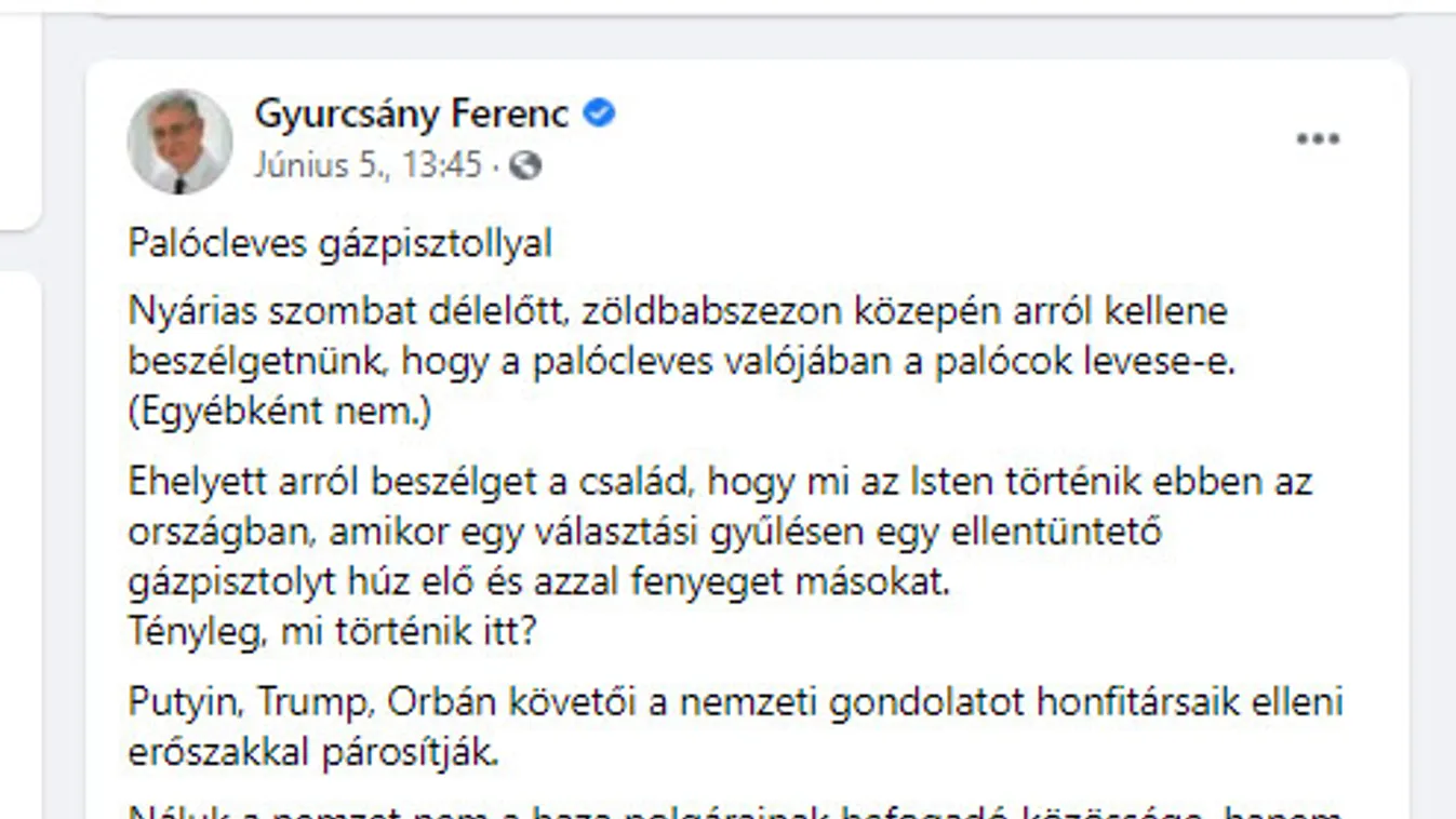 Levesfotót lopott Gyurcsány