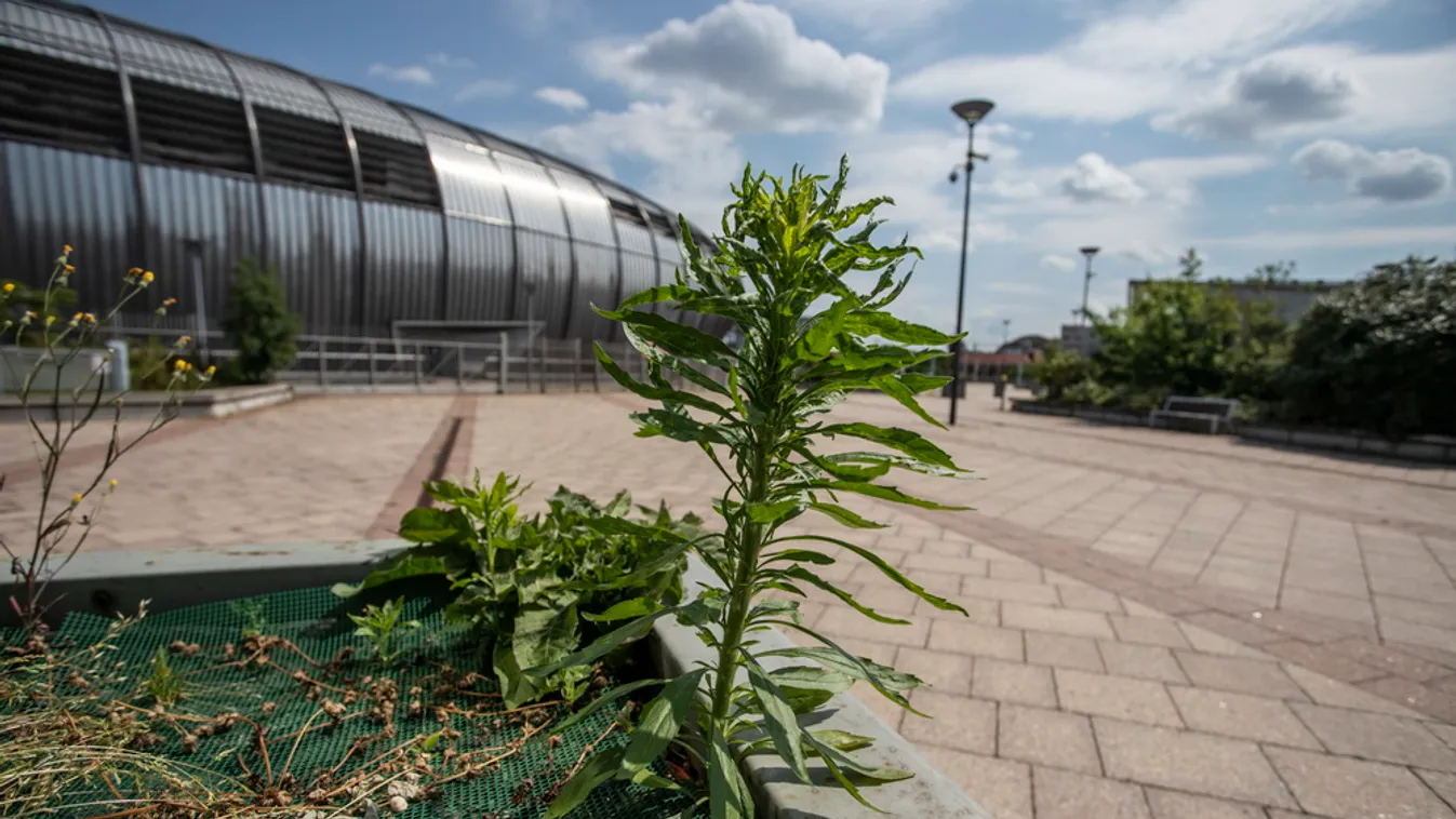 Elképesztő, hogy néz ki a Puskás Aréna környéke az Eb idején – videó