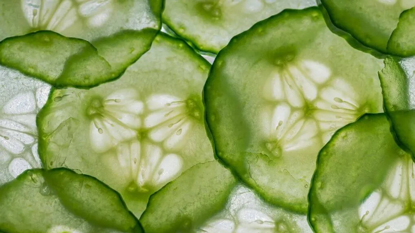 Ma van az uborka világnapja, a férfiak így ünneplik