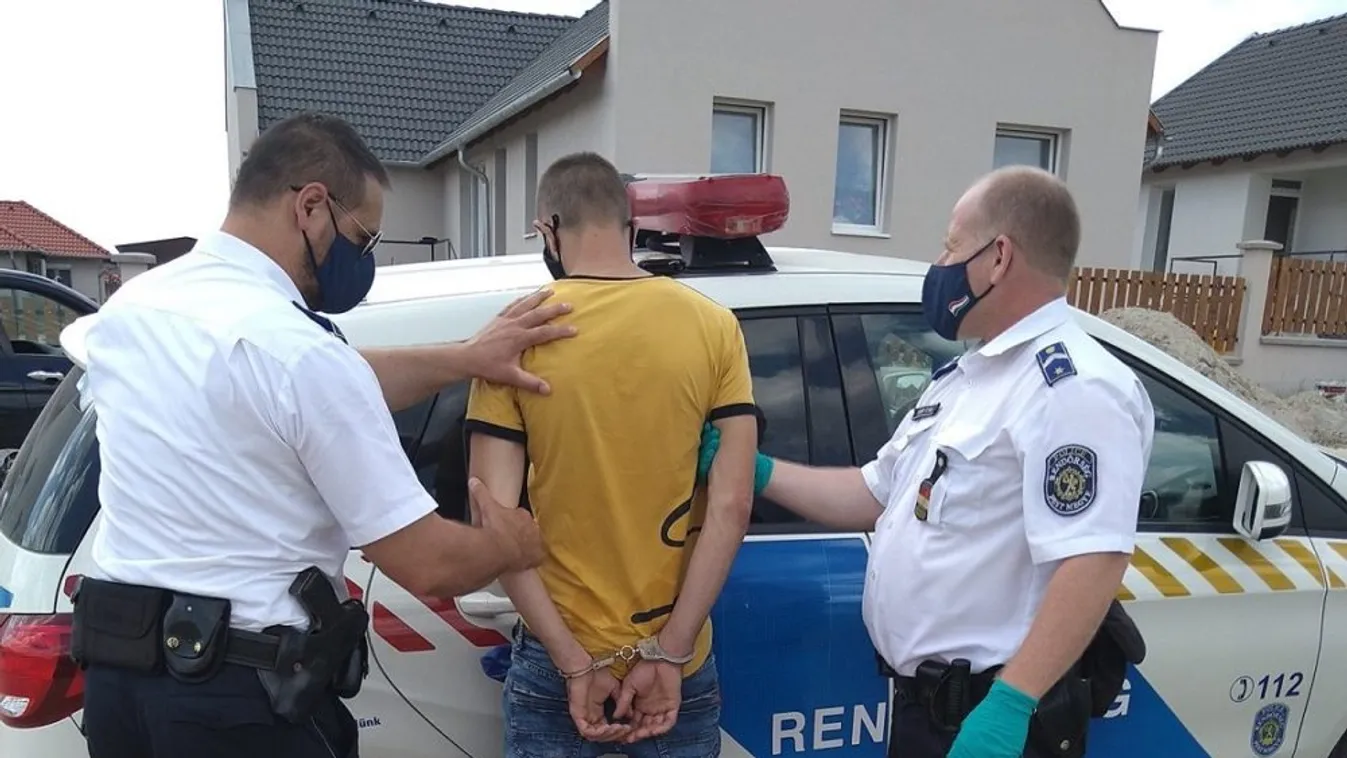 Megrázó részletek: Ezt mondta a gödöllői HÉV-en erőszakoskodó rém - Videó