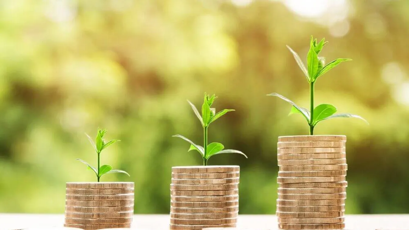 Júliustól igényelhetők a kedvezményes újraindulási kölcsönök