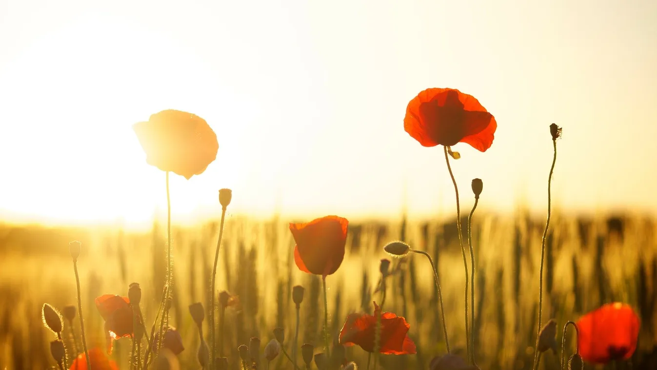Jobb, ha erre felkészülsz: brutális hőséggel robban be a nyár