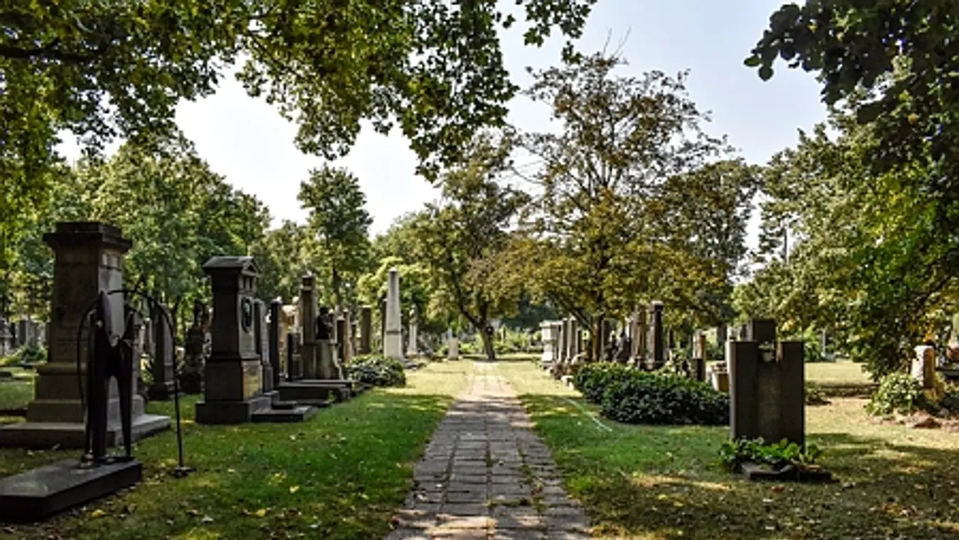 Szörnyű dolog történt a temetőben: rothadó testrész kandikál ki a sírból