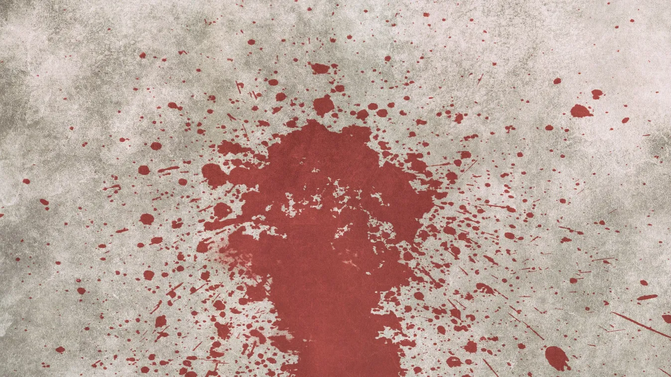 Szegedi kettős gyilkosság: a meggyilkolt lány édesanyja talált rá a holttestekre