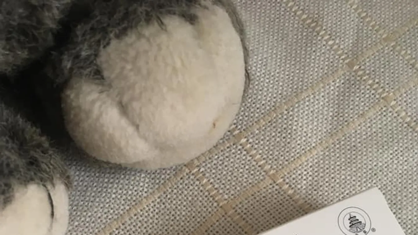 Meghökkentő: furcsa kabalaőrülettel védekeznek a magyarok a Covid ellen