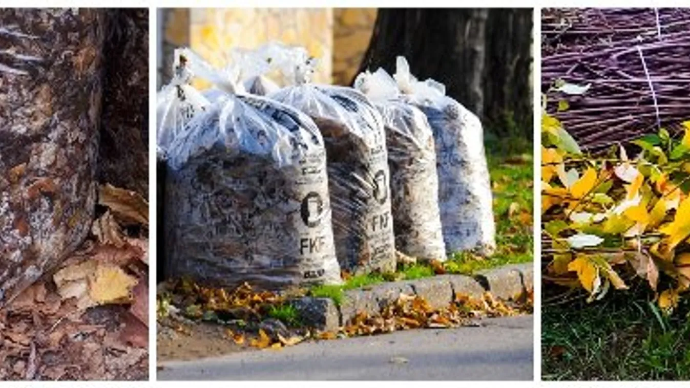 Mi történt a zöldhulladékos zsákokkal Pesten?