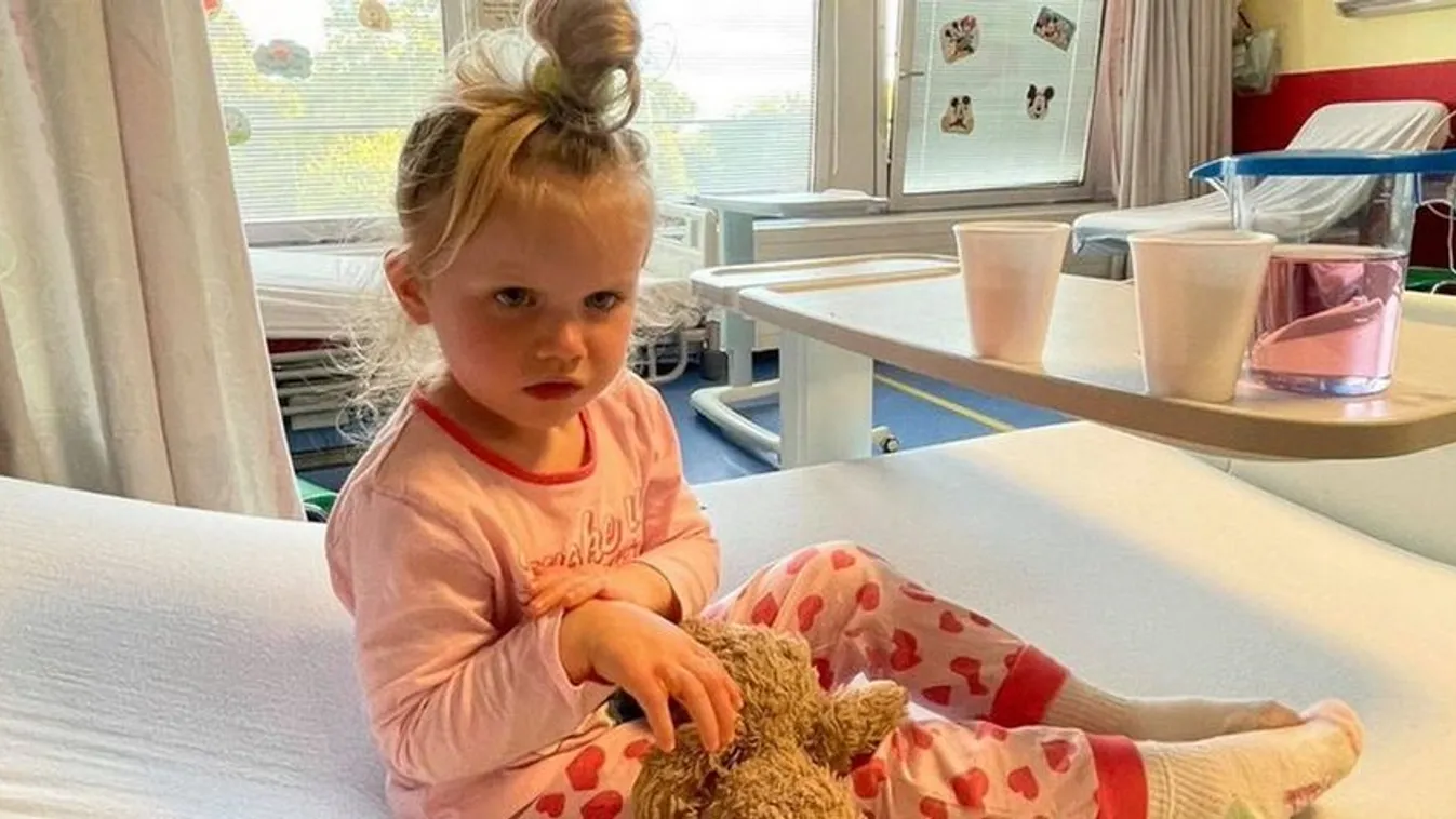 Pokoli fájdalmakat élt át egy 3 éves kislány egy virág miatt, hólyagok borították el a kezét