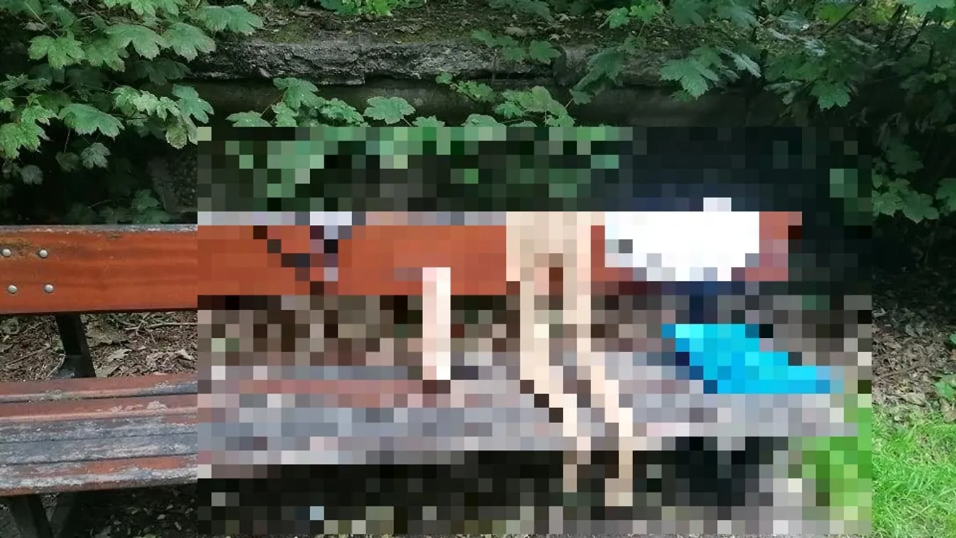 Sokkot kaptak az emberek: őrület, hogy mit felejtett ott valaki egy padon - +18-as fotó