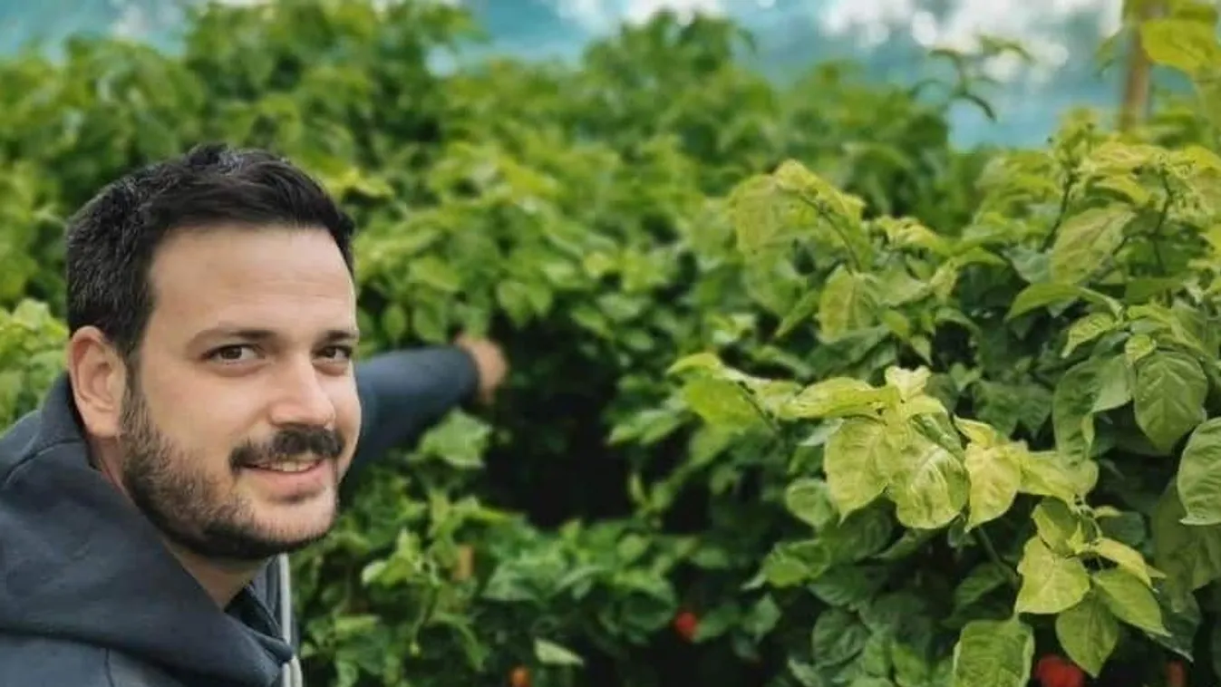 Erdei gomba, kecsketej, chili: ismerd meg Észak-Magyarország kincseit