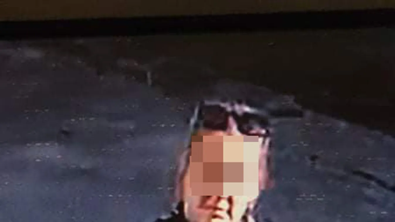 Figyelmeztetik a gazdikat: országszerte lopják a kutyákat!