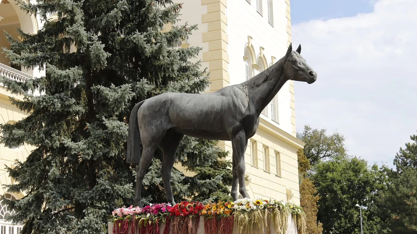 Rangos sporteseménynek ad otthont a Kincsem Park a hétvégén