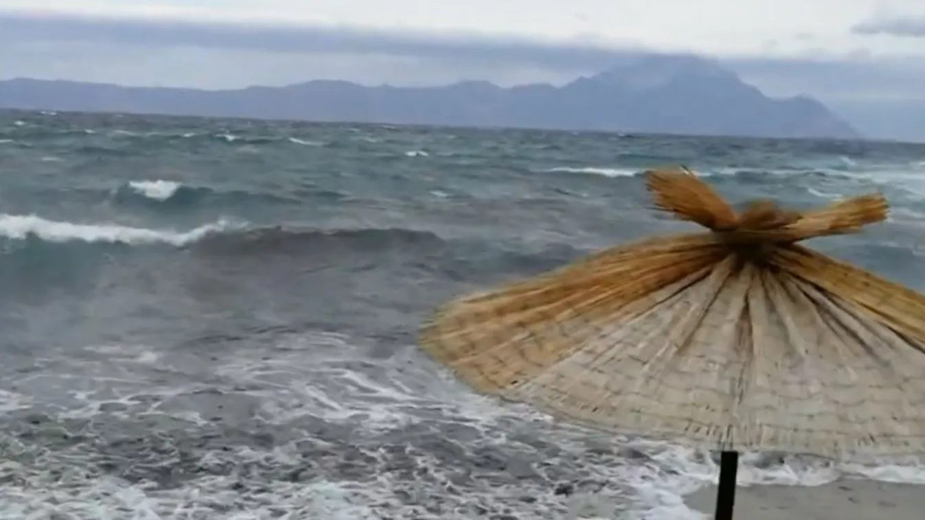 Sírva nézte végig a kislánya, ahogy édesapja az életéért küzd: a magyar buszsofőrt nem tudták megmenteni