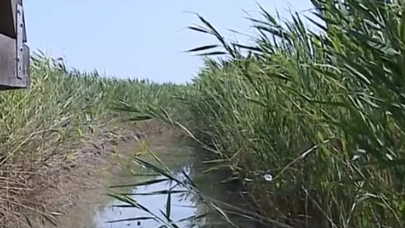 Elképesztő módszer: így loptak el a bűnözők egy egész hidat Magyarországon