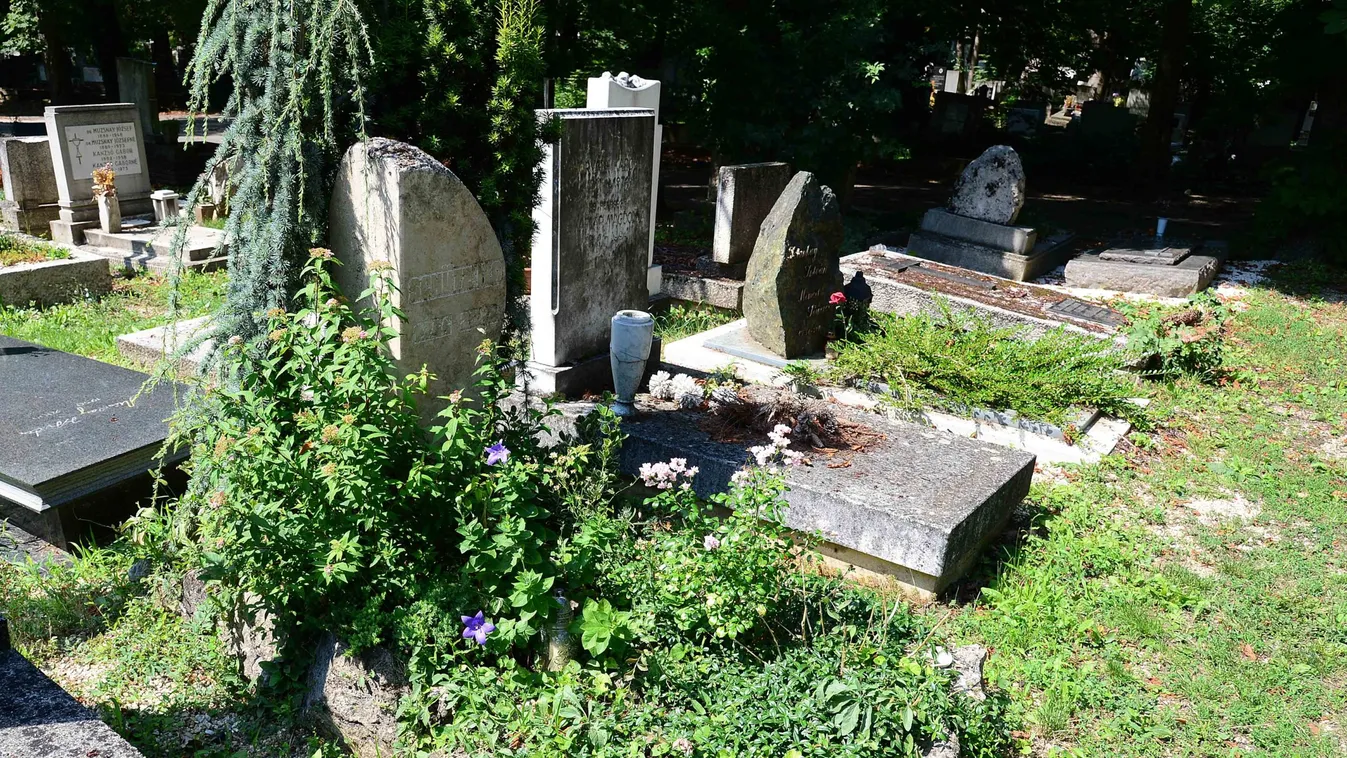 Megszakad a szív: ilyen állapotban van most a magyar színésznő sírja - fotók