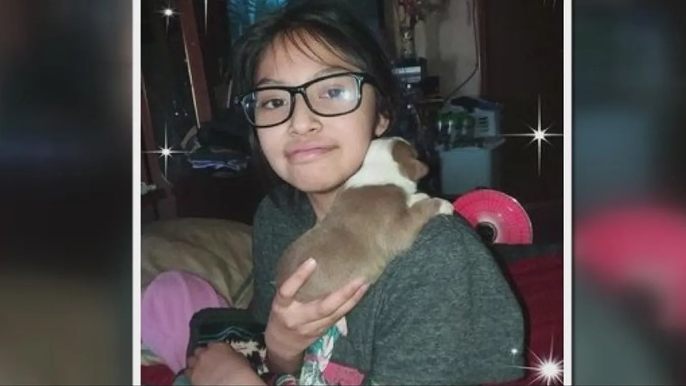  Borzalmas tragédia: halálra marcangolta a 13 éves lányt egy falka megvadult kutya