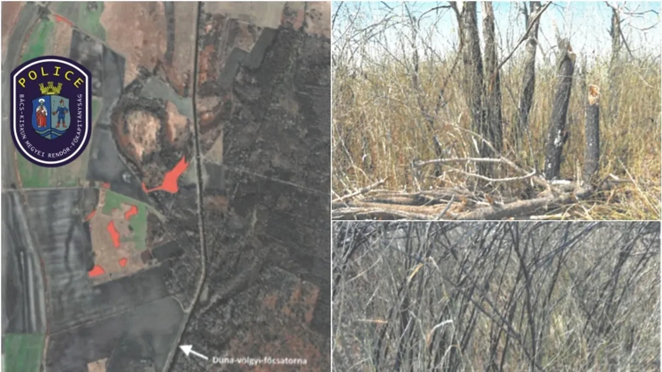 "Nem gondoltam, hogy ekkora tűz kerekedik" - nyugodt szívvel hazament a gyújtogató