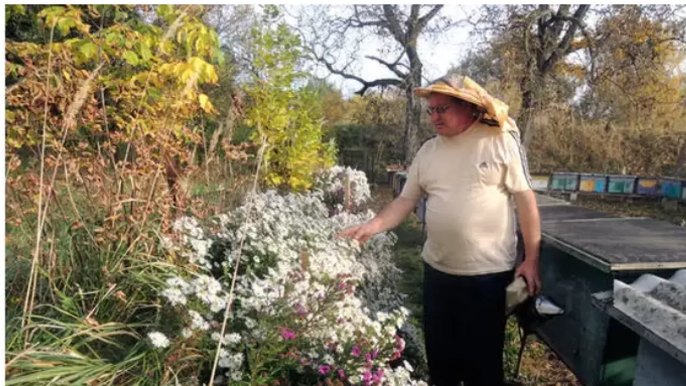 Kárpátalján tudják, hogy milyen az igazi méhlegelő - nem hasonlít a budapestire
